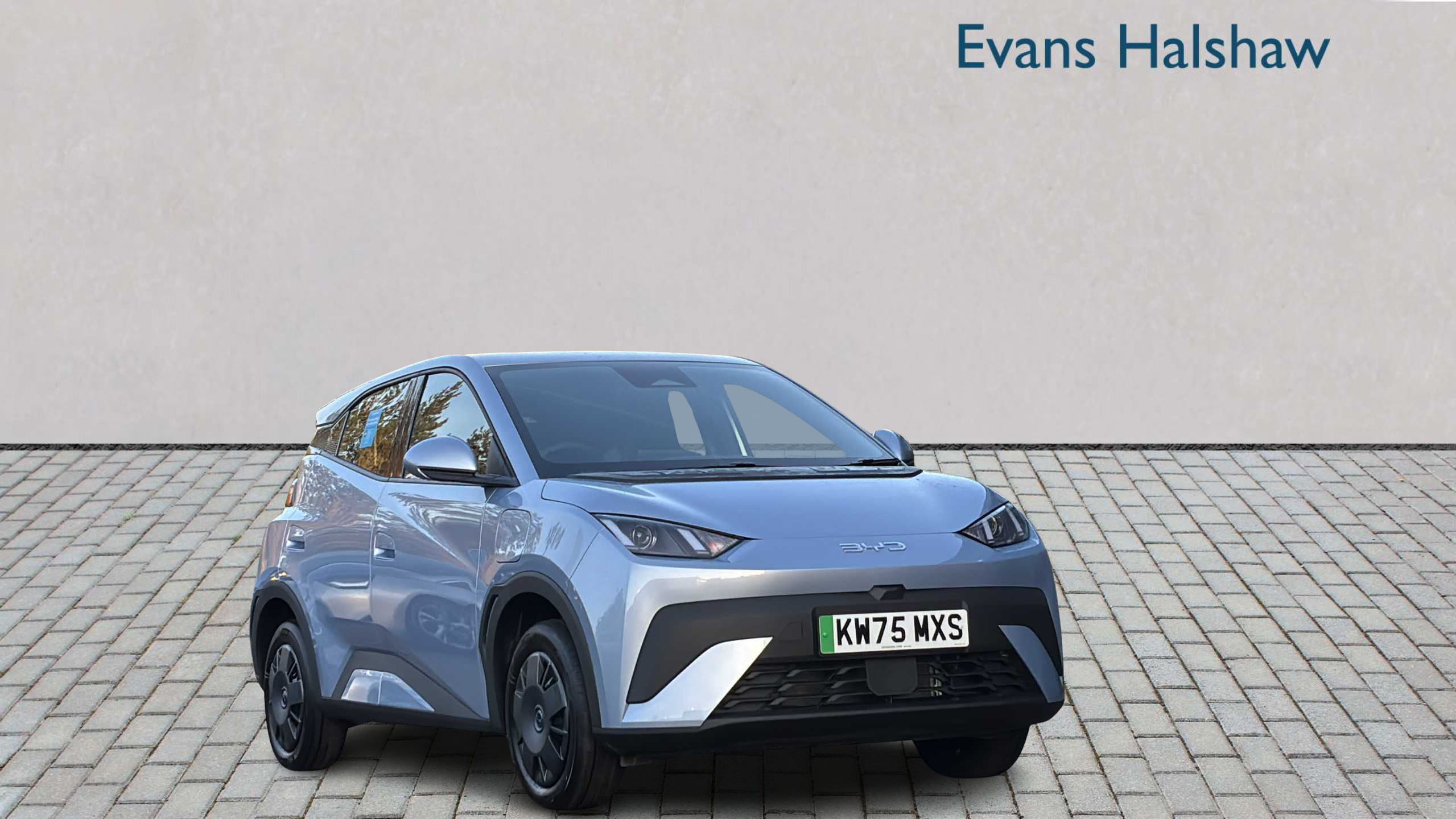 Main listing image - BYD Dolphin Surf