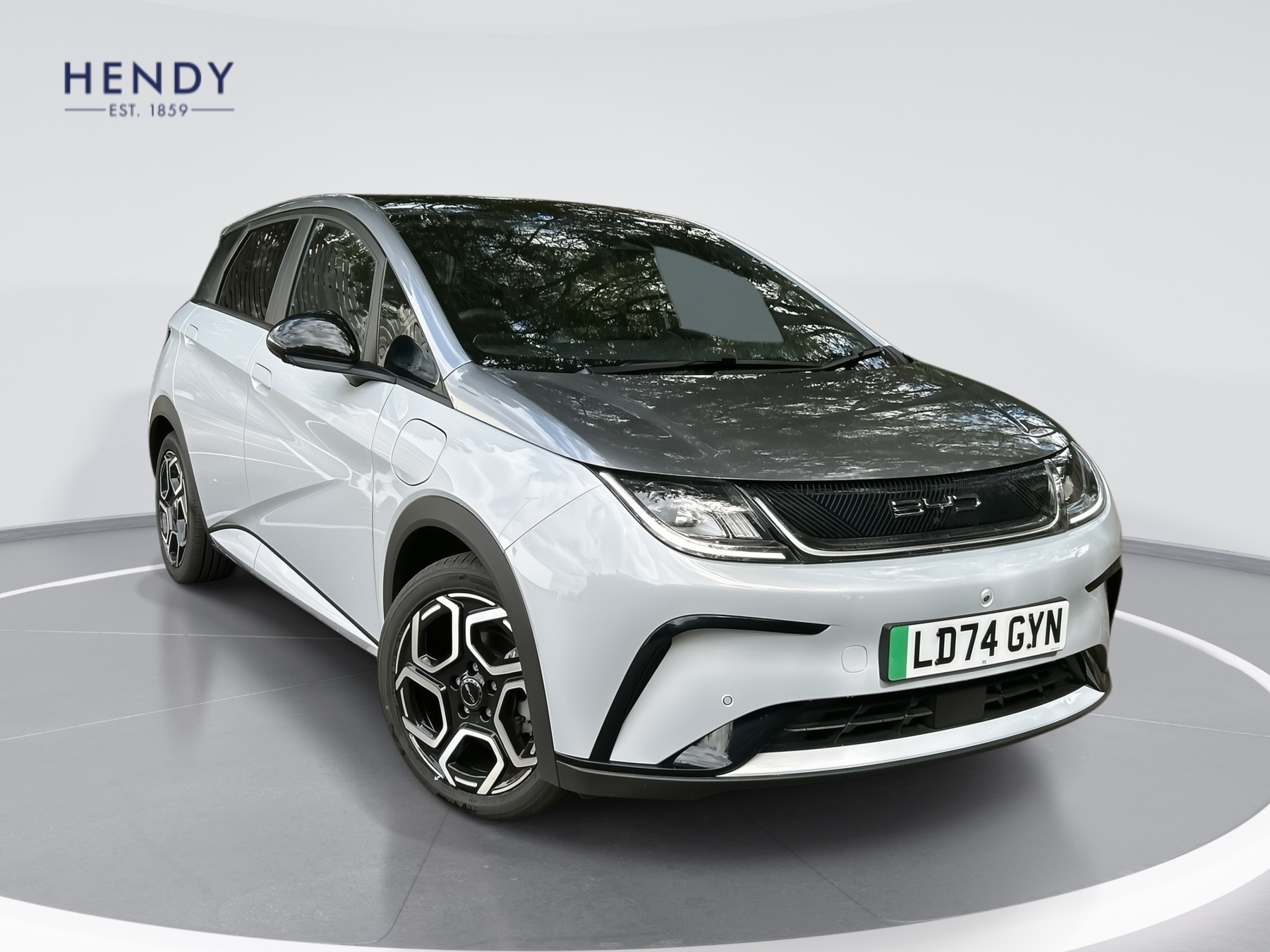 Main listing image - BYD Dolphin