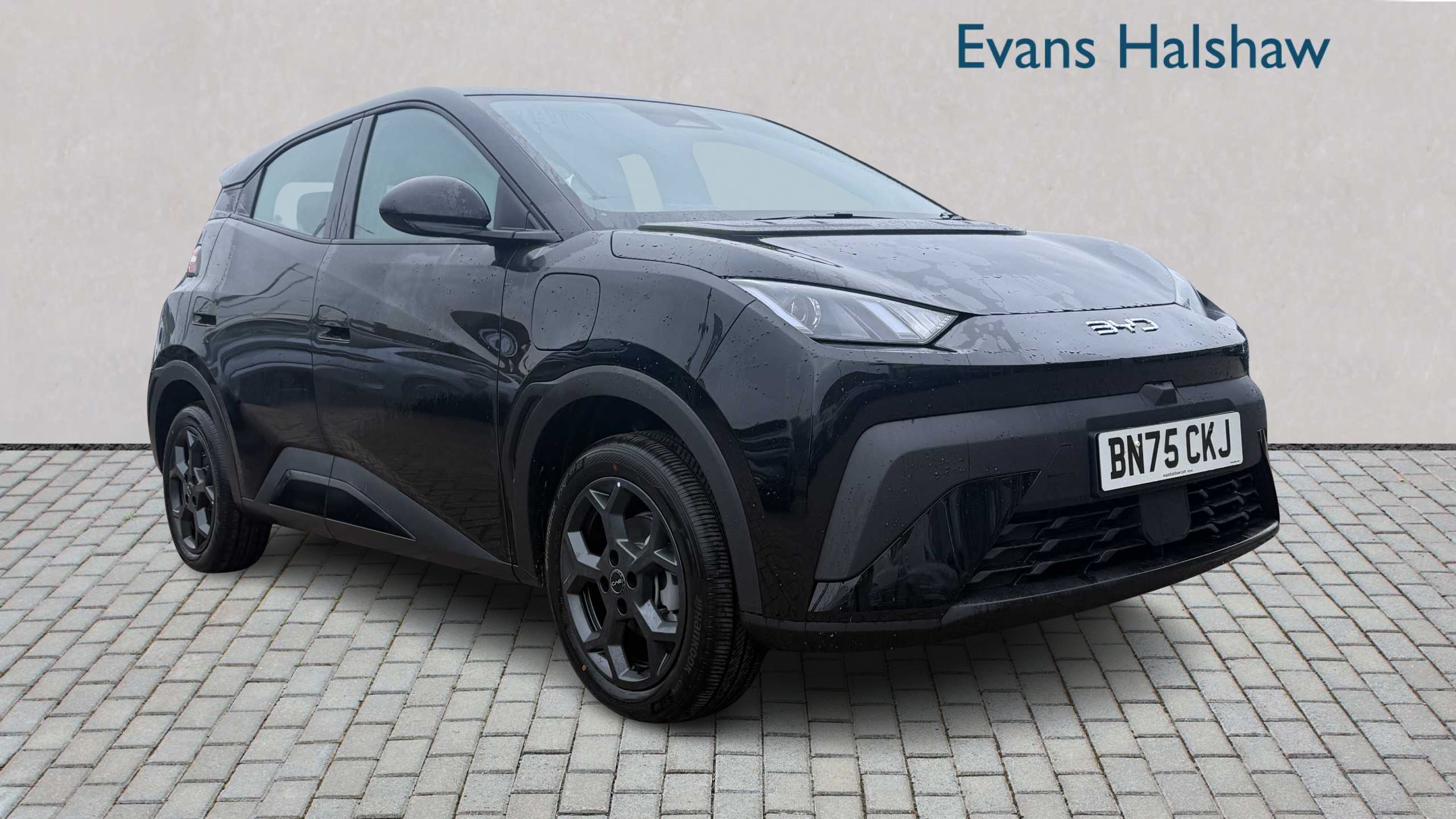 Main listing image - BYD Dolphin Surf