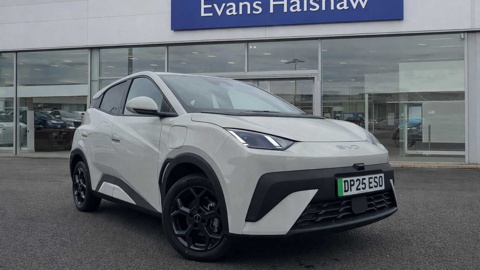 Main listing image - BYD Dolphin Surf