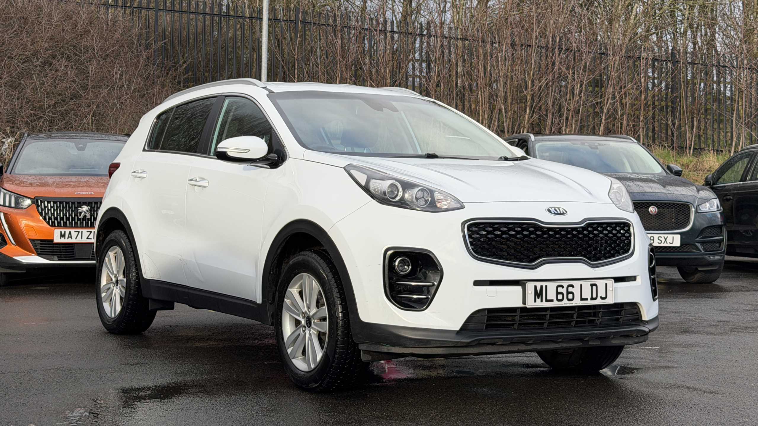 Main listing image - Kia Sportage