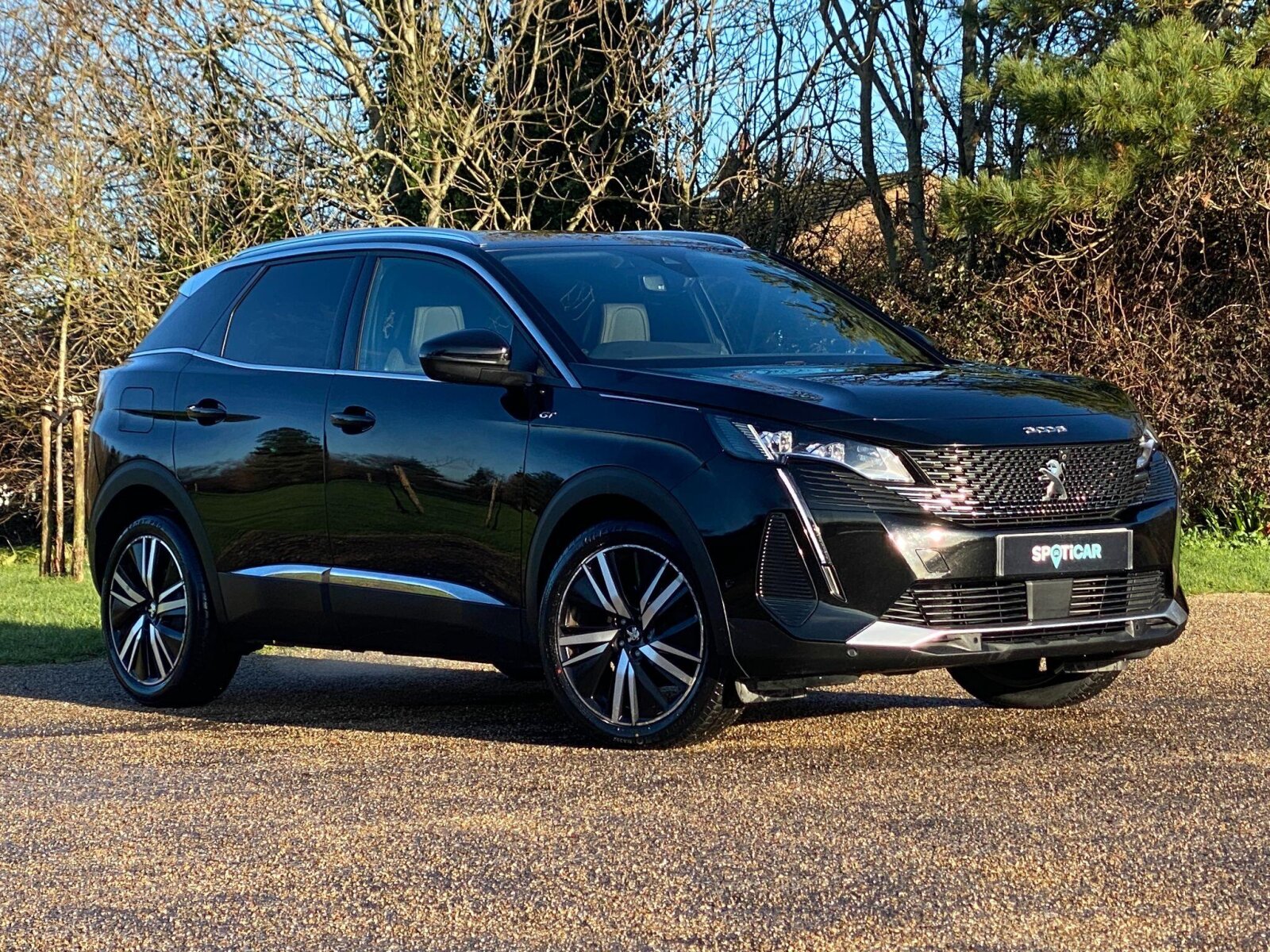 Main listing image - Peugeot 3008