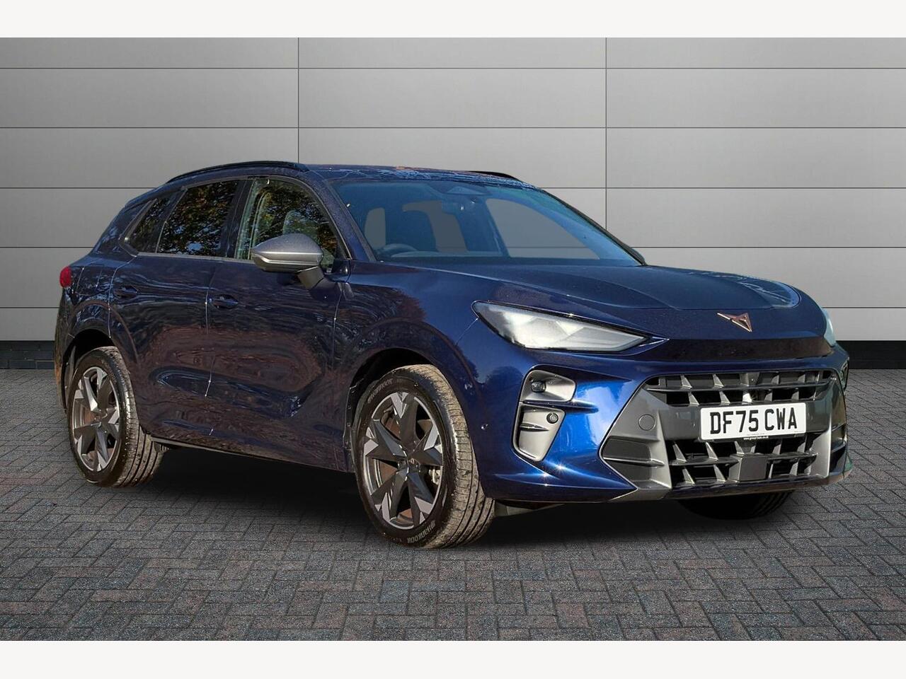 Main listing image - Cupra Terramar