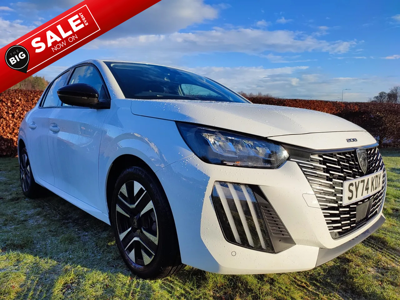 Main listing image - Peugeot 208