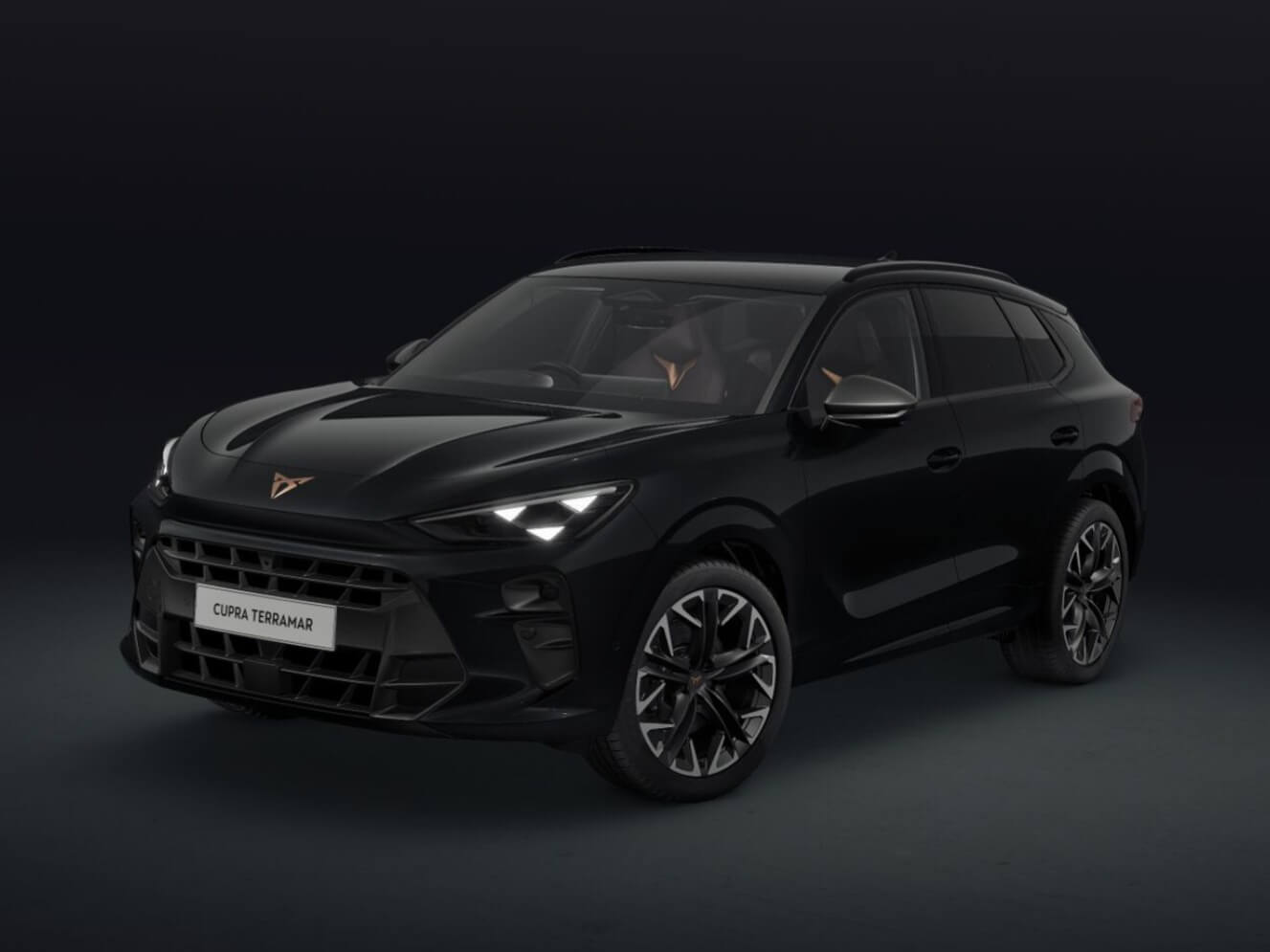 Main listing image - Cupra Terramar