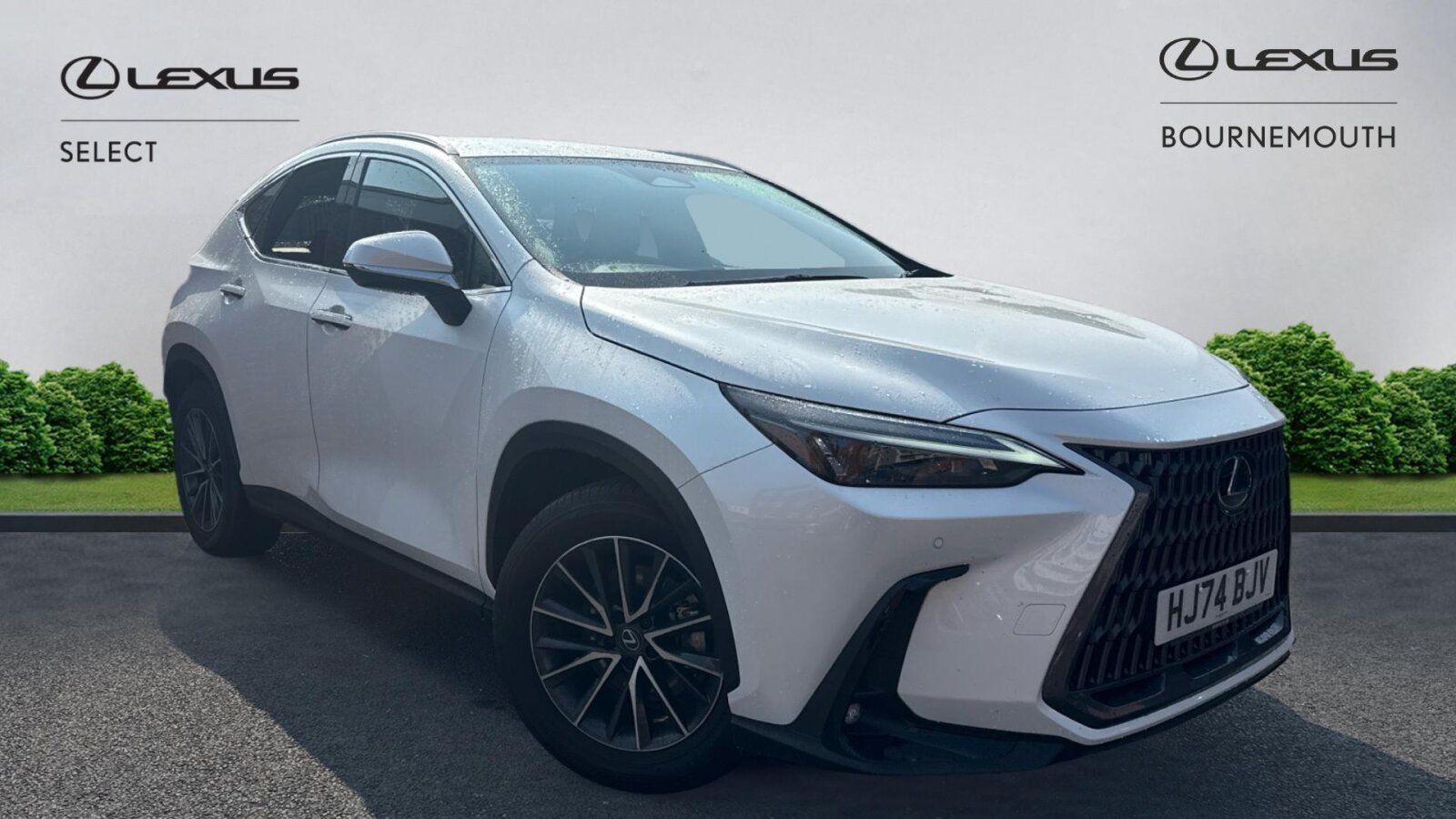 Main listing image - Lexus NX
