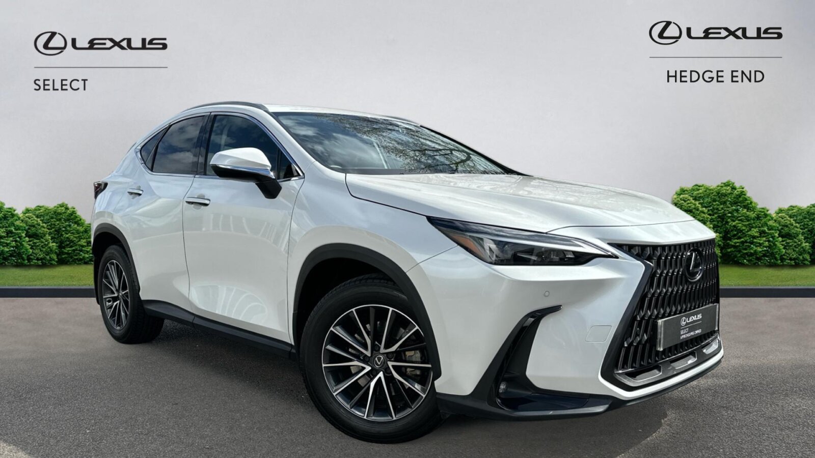Main listing image - Lexus NX