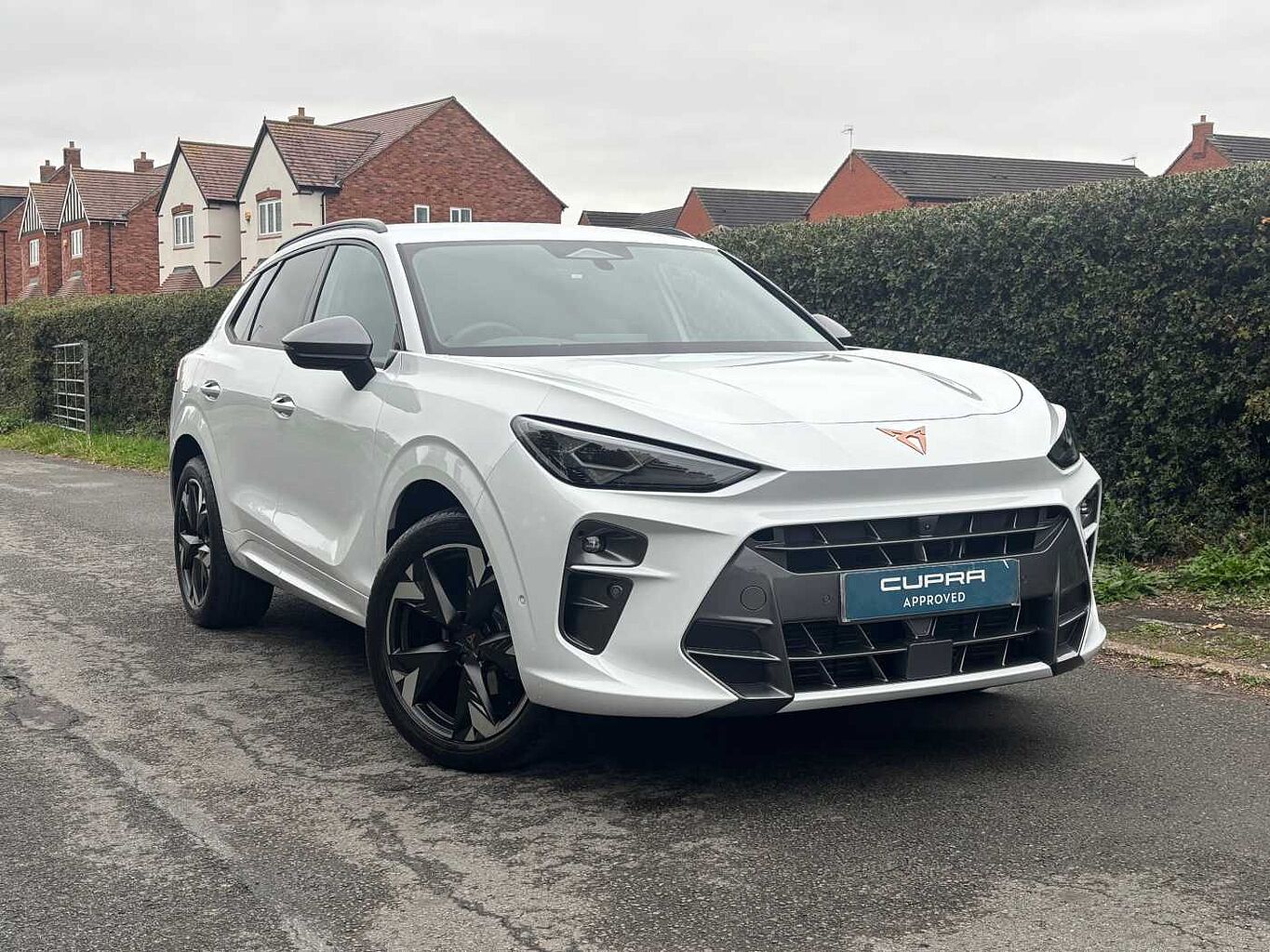 Main listing image - Cupra Terramar