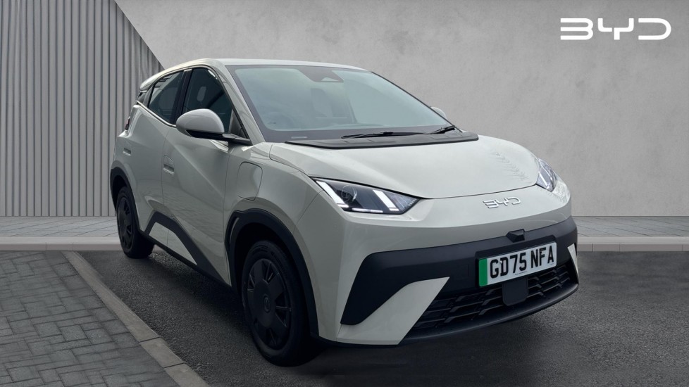 Main listing image - BYD Dolphin Surf