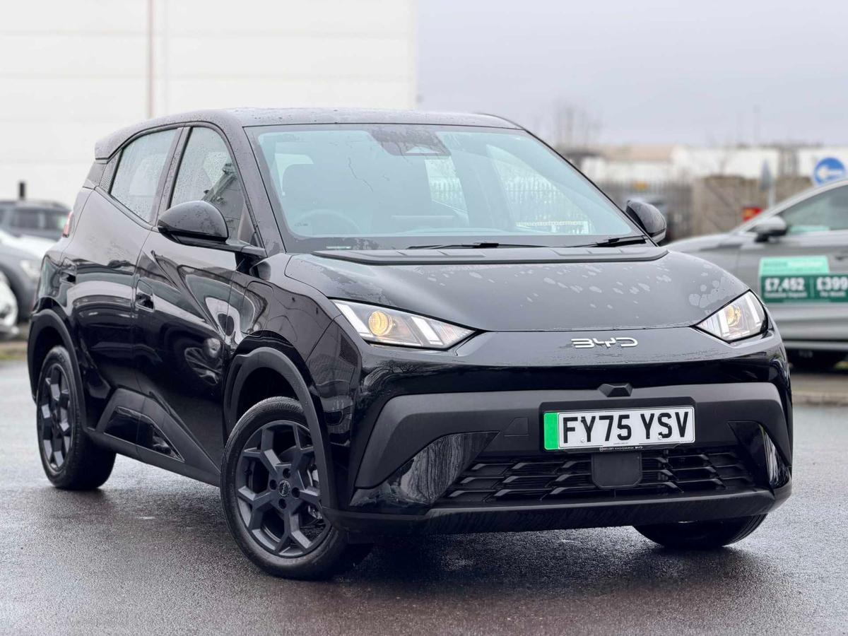 Main listing image - BYD Dolphin Surf