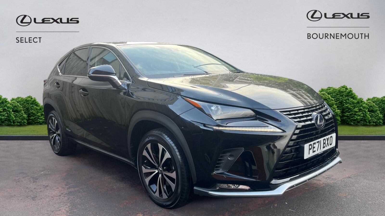Main listing image - Lexus NX
