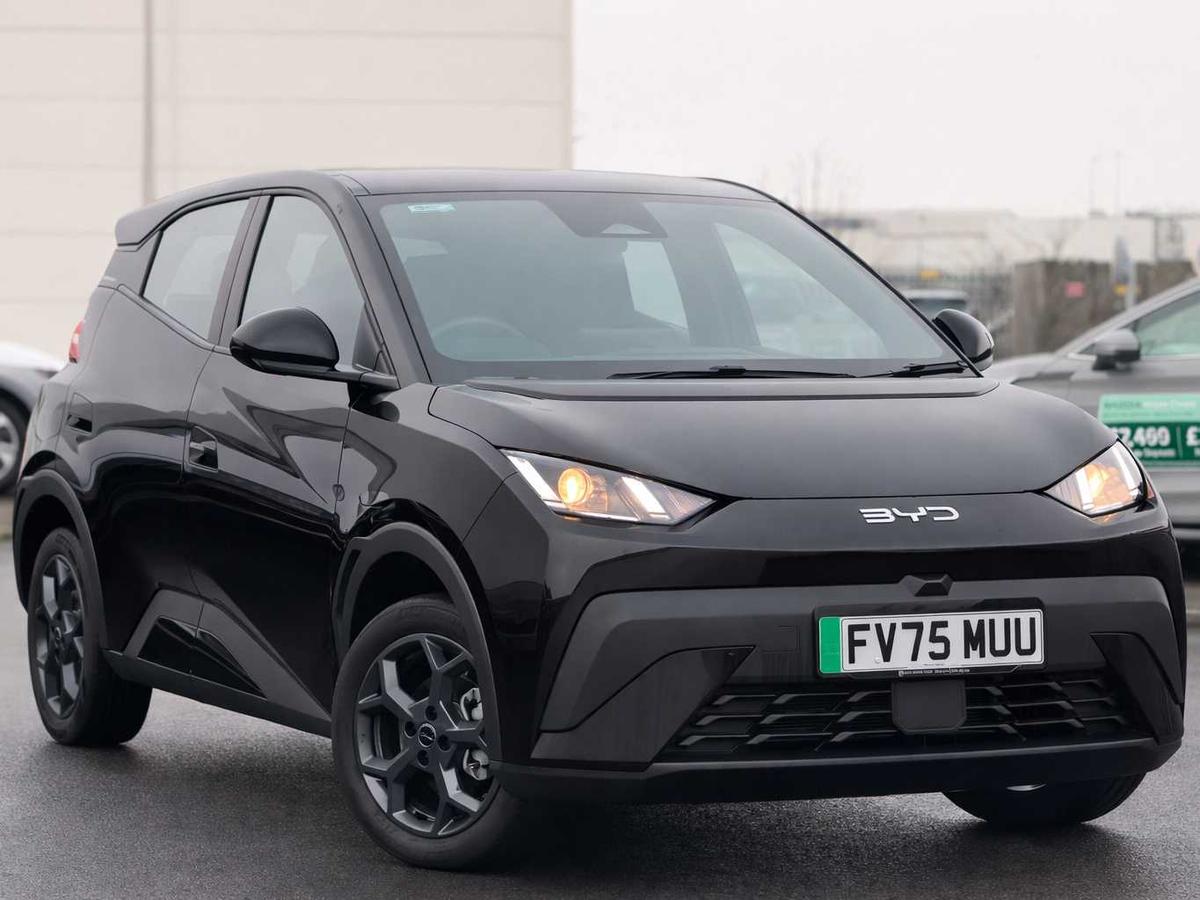 Main listing image - BYD Dolphin Surf