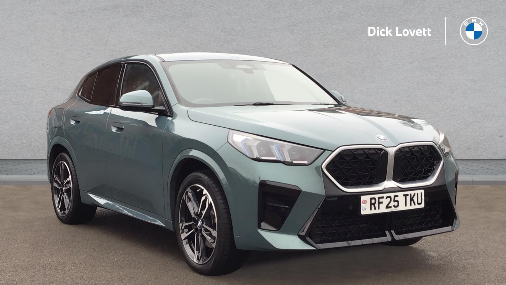 Main listing image - BMW X2