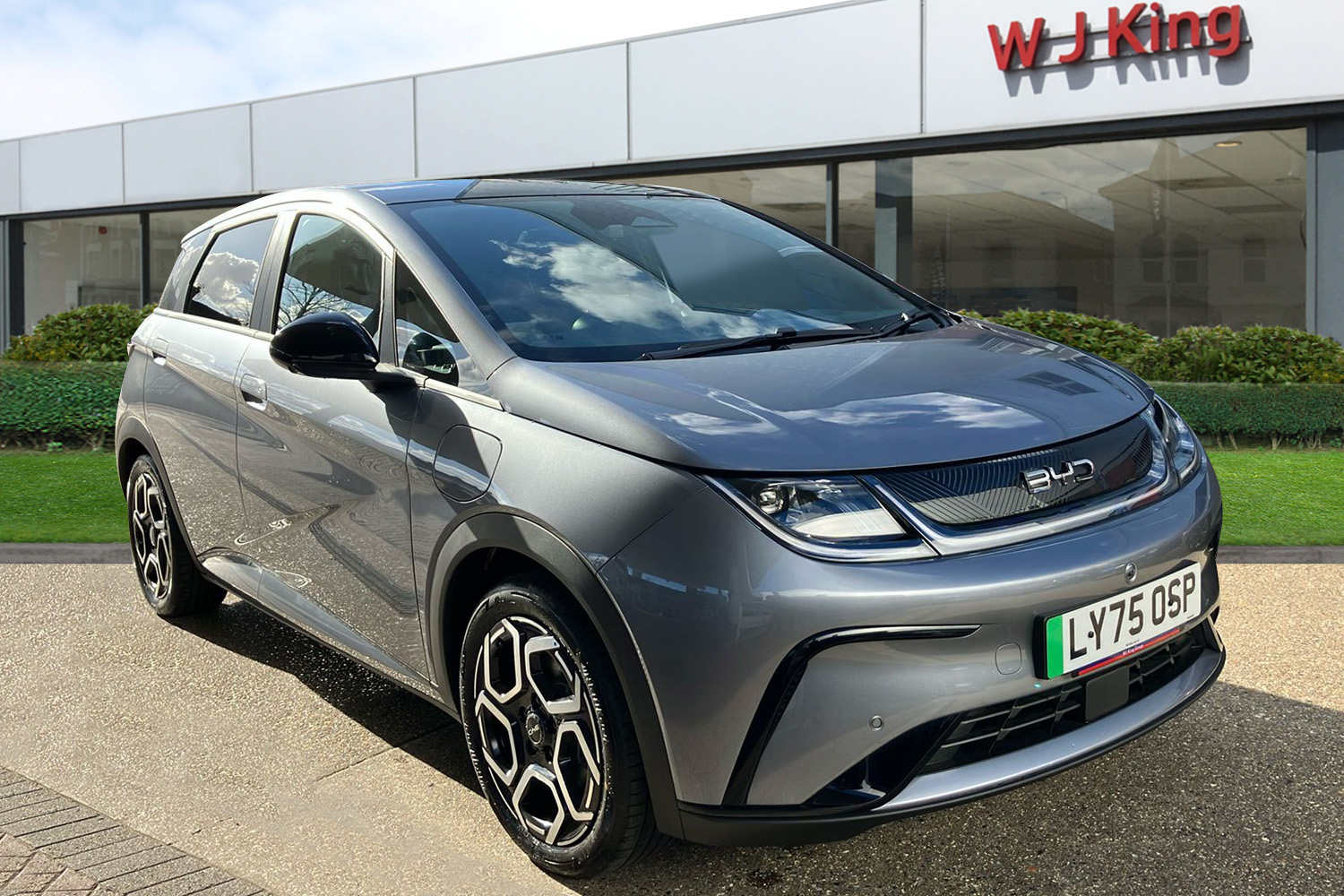 Main listing image - BYD Dolphin